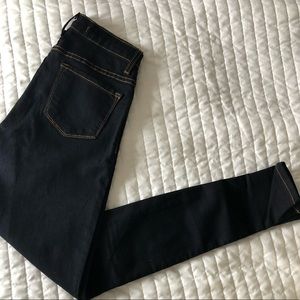 Dark Blue Flying Monkey